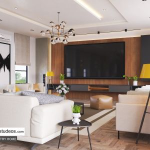 Living room design idea in Nigeria Abuja Port Harcourt Lagos Architect (3)